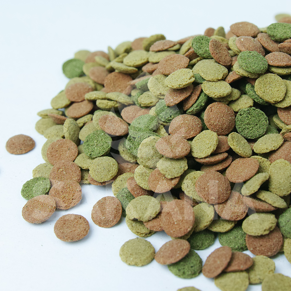 Sakana Small Fish Wafers Fish Food