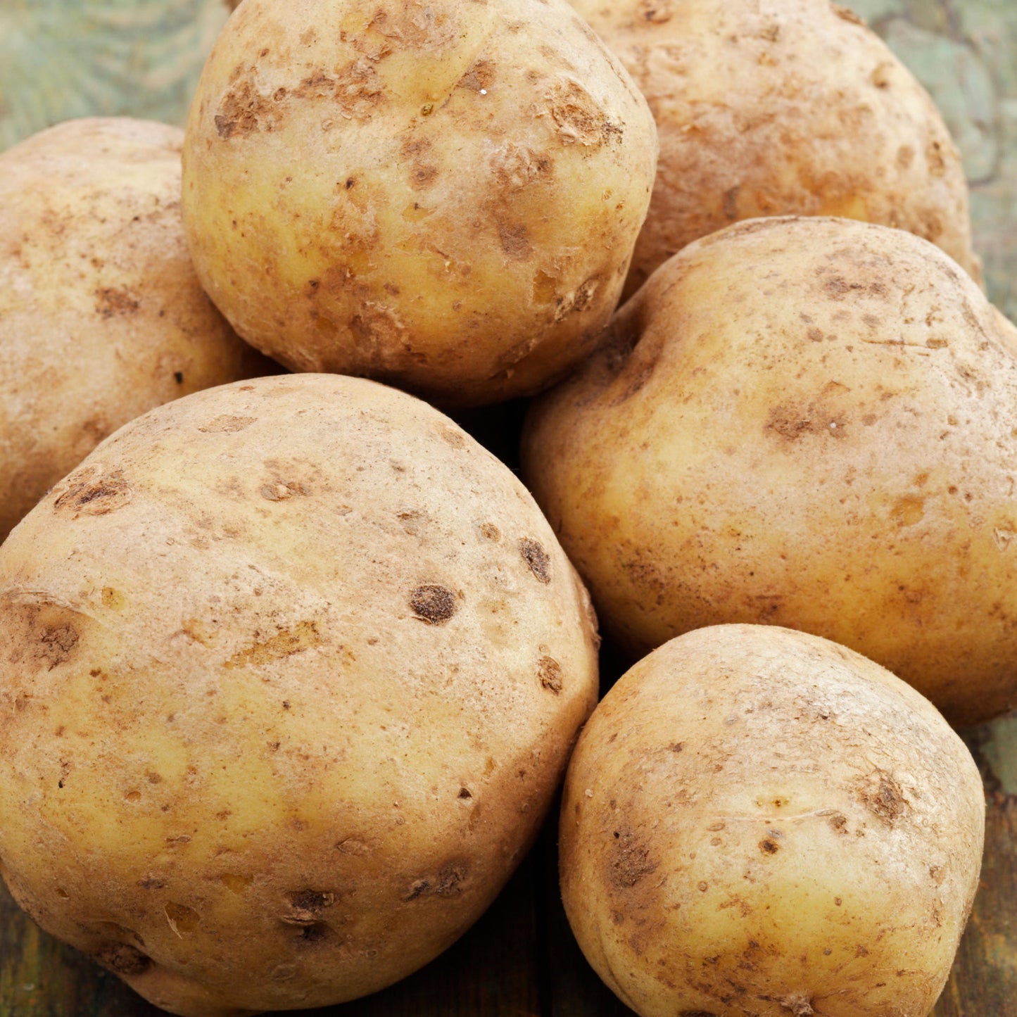 Seed Potatoes (Second Earlies)