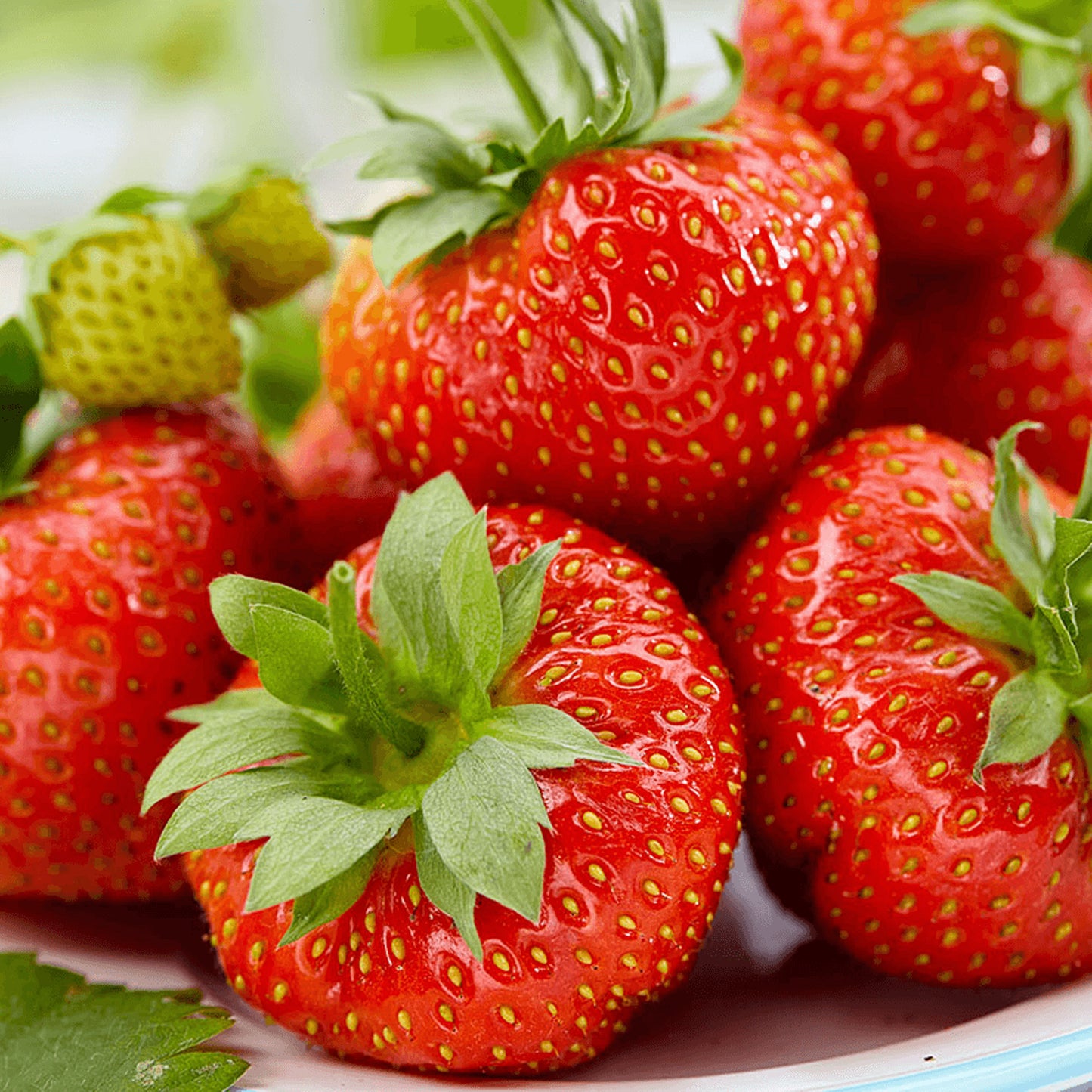 Strawberry Korona (9cm)