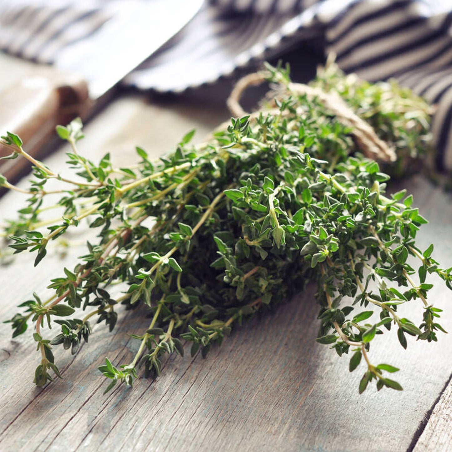 Herb - Thyme (Standard)