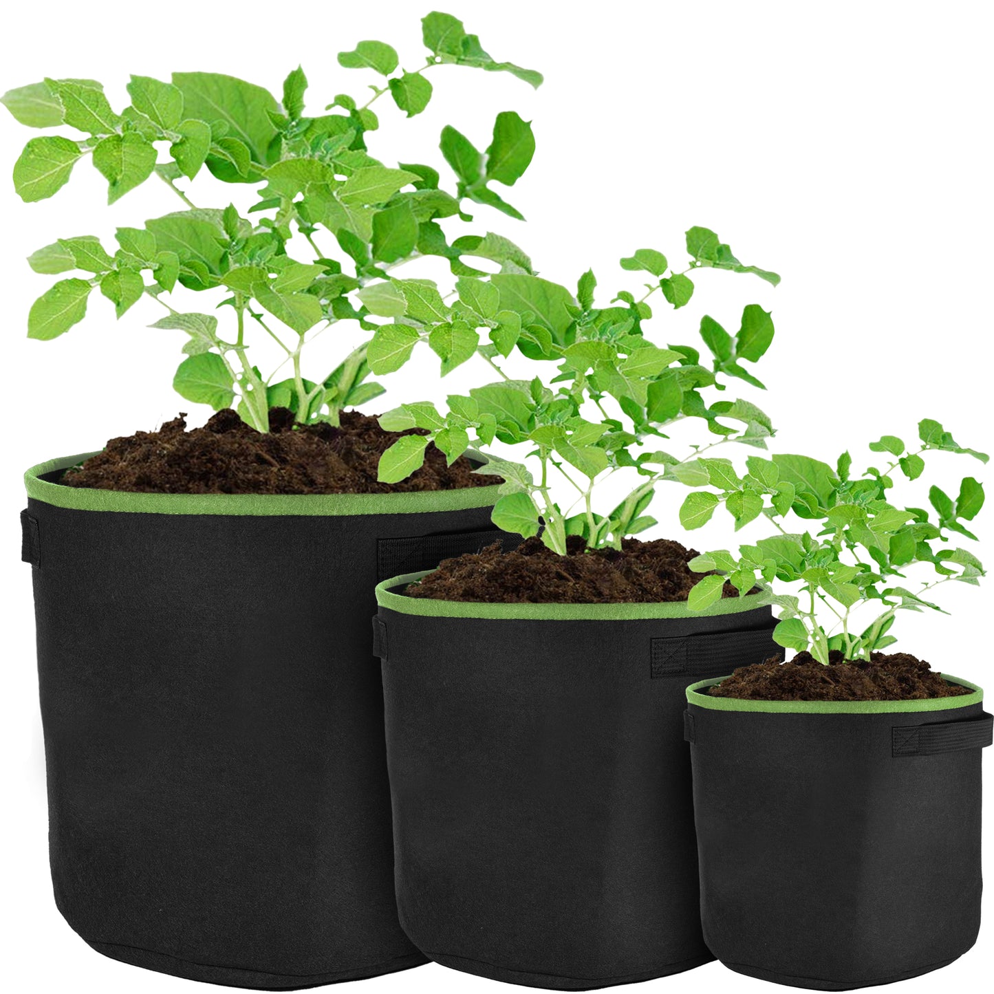 Plant Grow Bags
