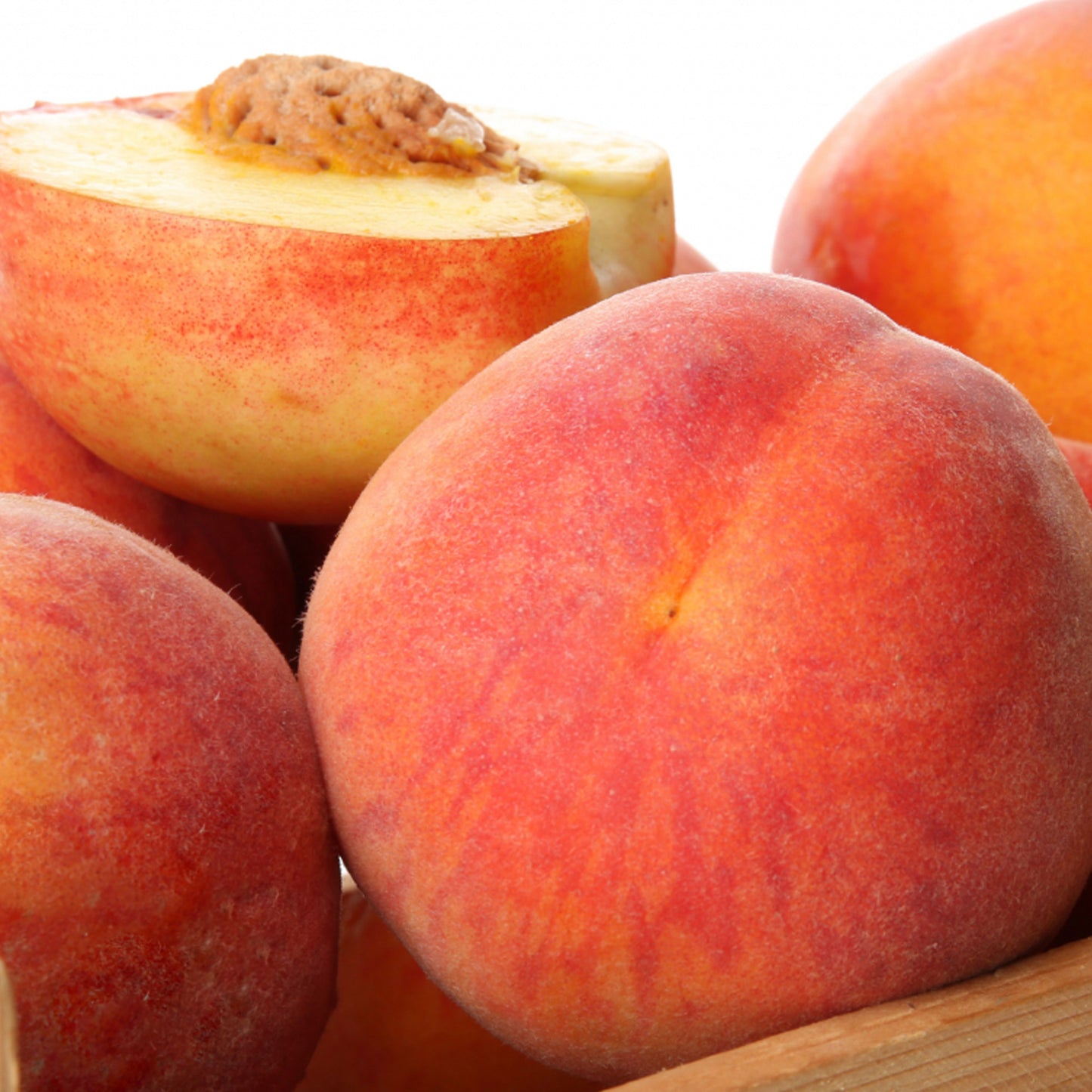 Peach Persica Tree (7.5L, 4-5ft)