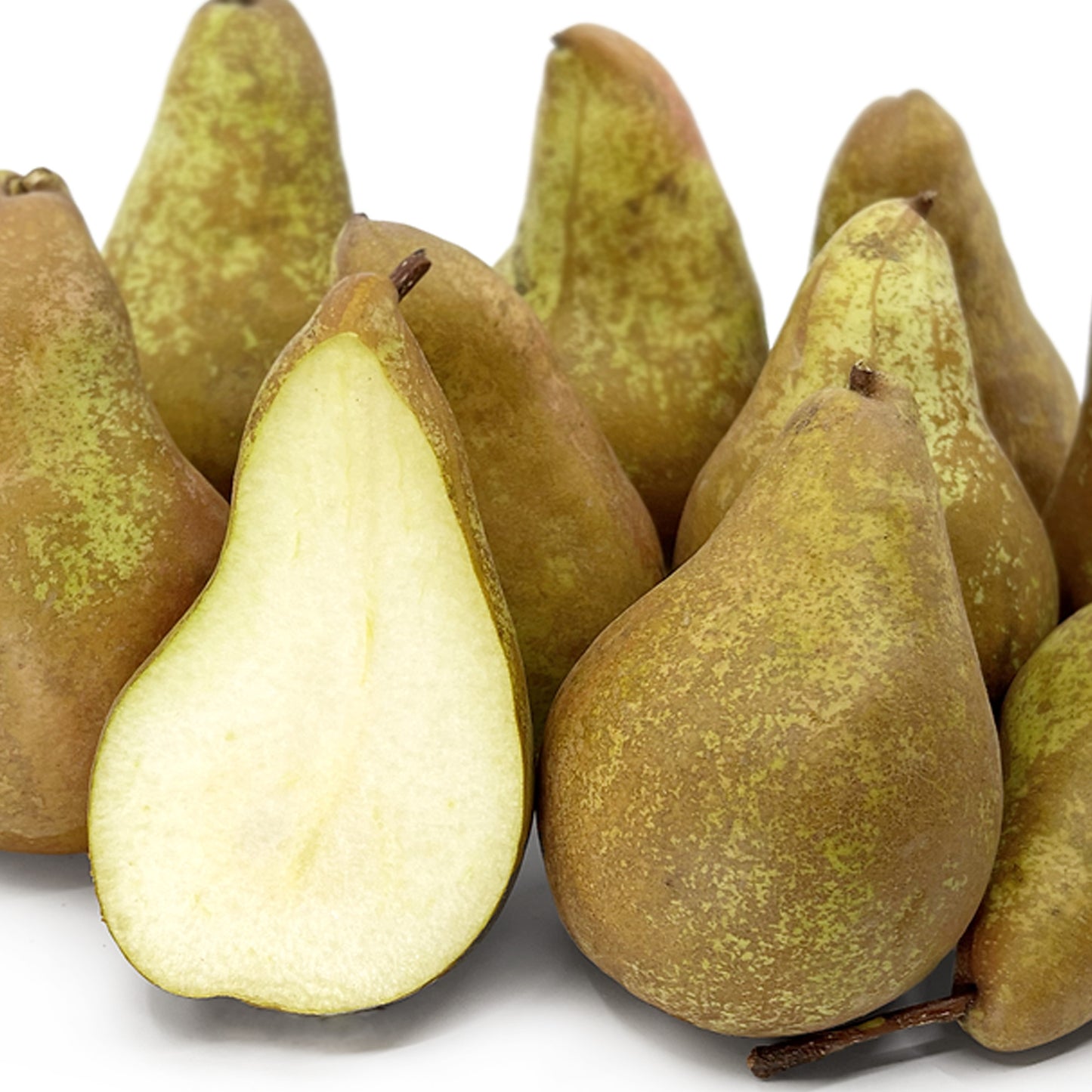 Pear Concorde Tree (7.5L, 4-5ft)