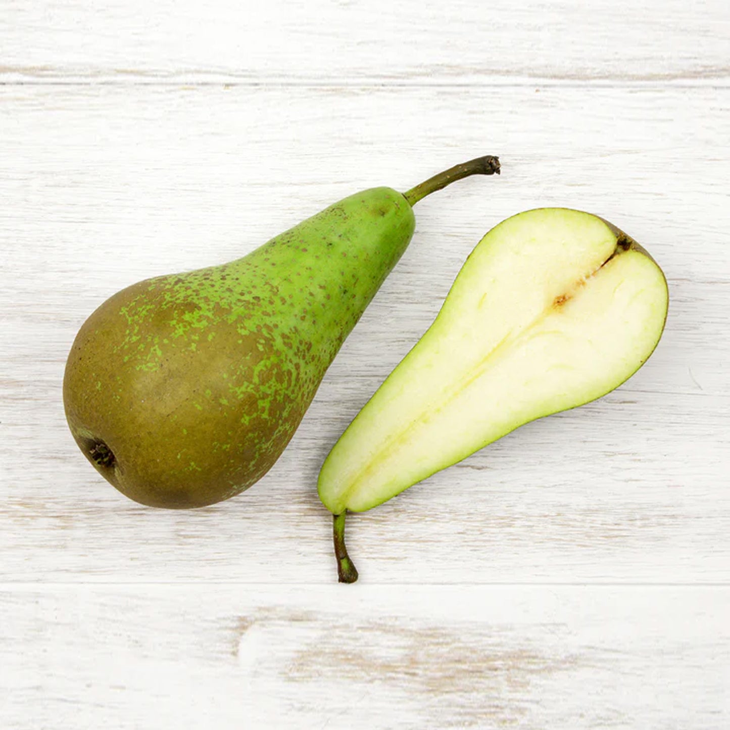 Pear Conference Tree (7.5L, 4-5ft)