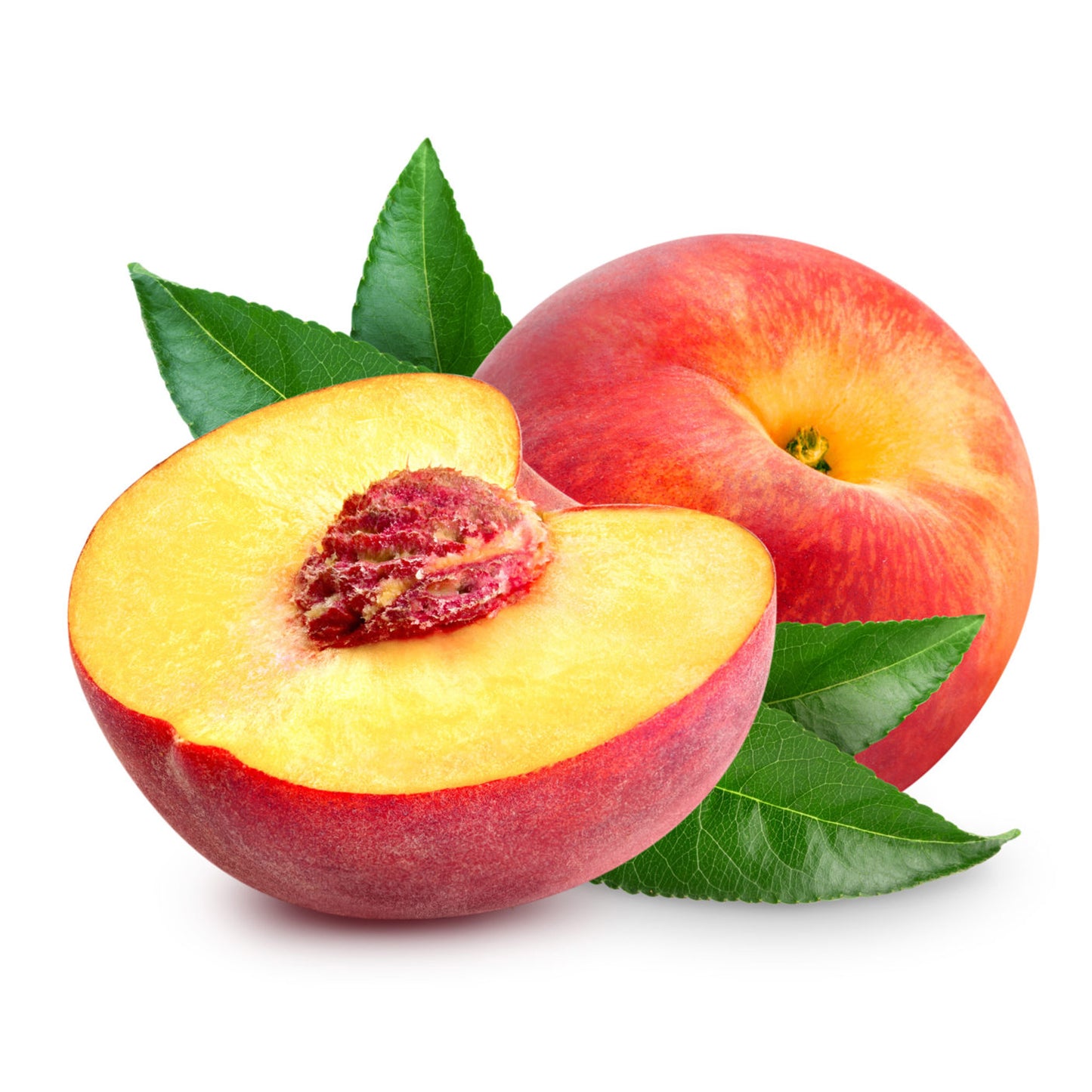 Peach Persica Tree (7.5L, 4-5ft)