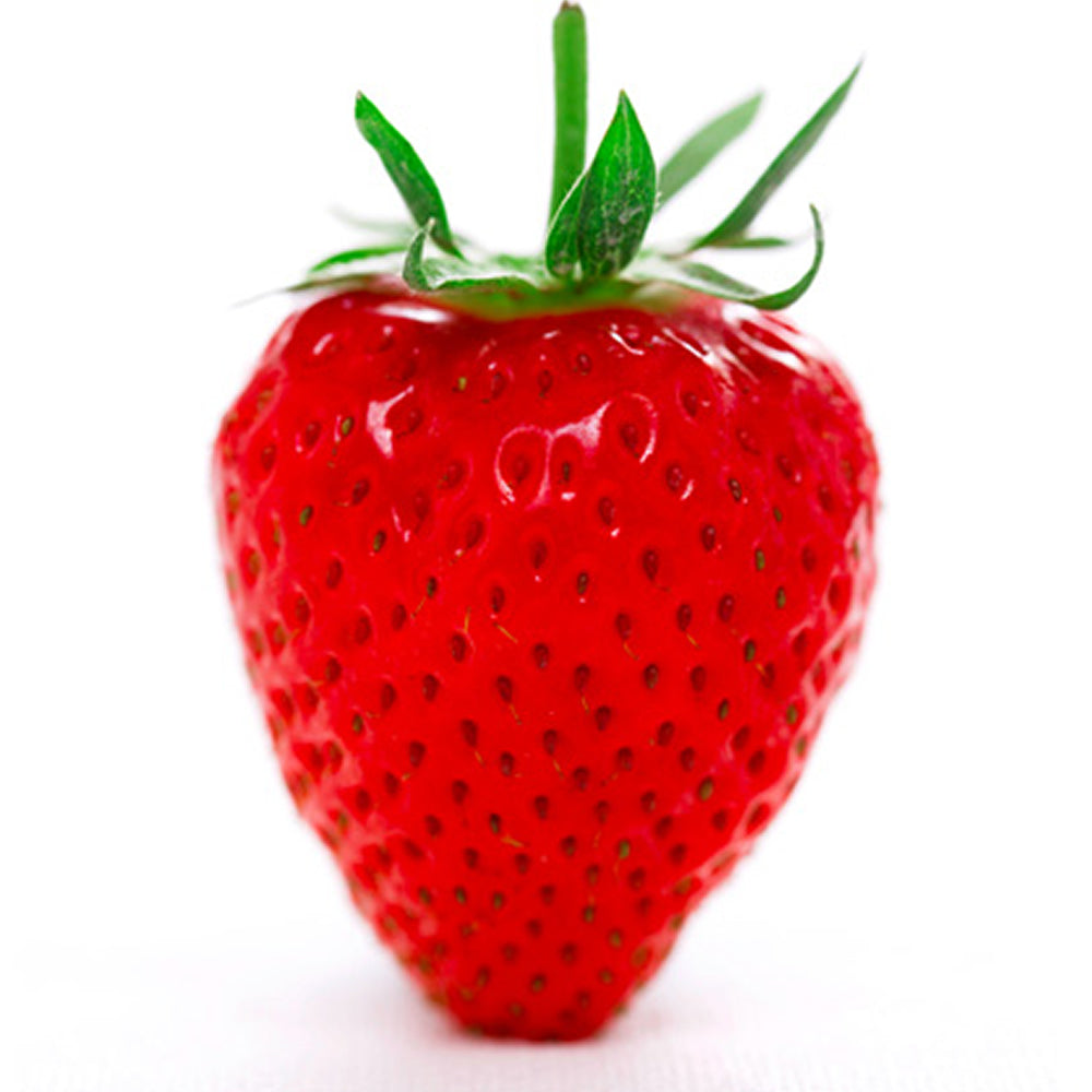 Strawberry Hapil (9cm)