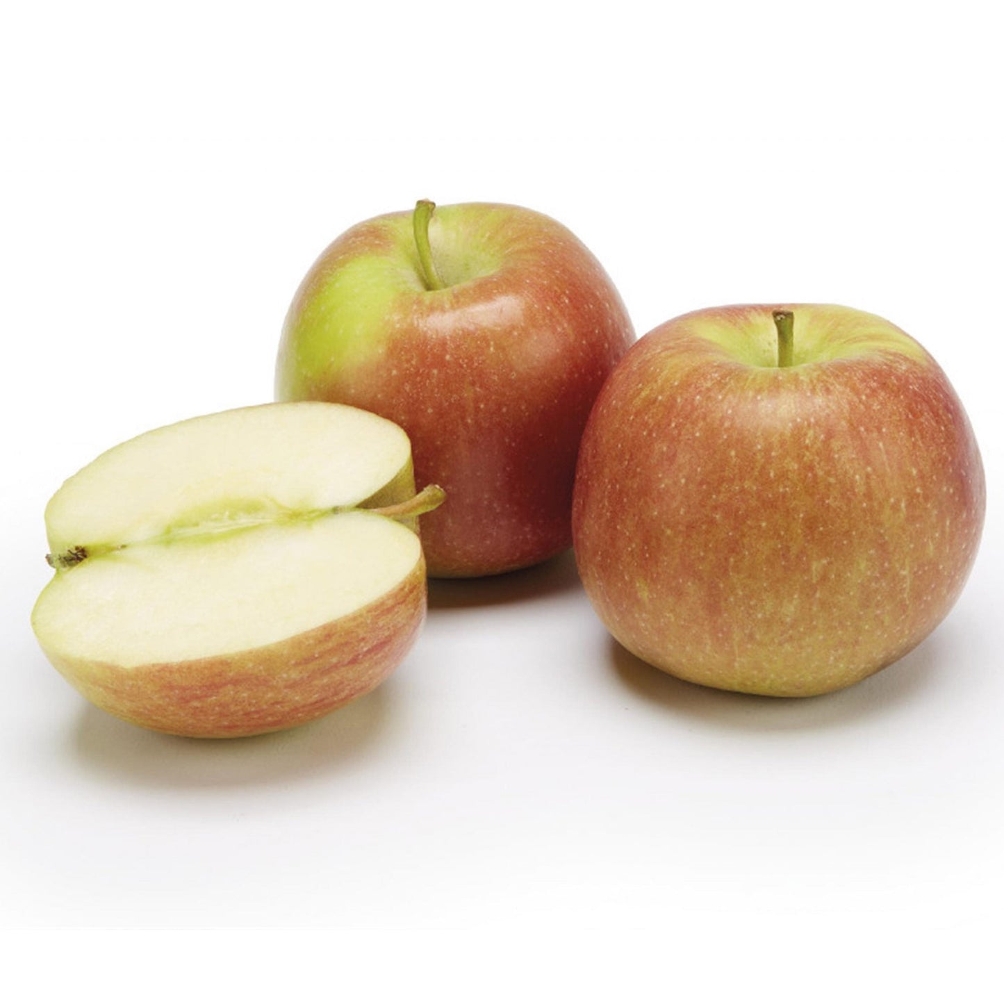 Apple Braeburn (MM106, 7.5L, 4-5ft)