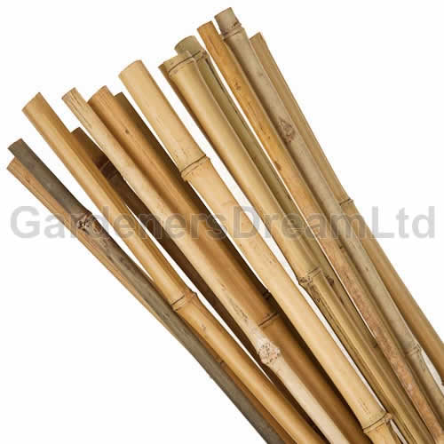 Bamboo Canes 5ft (#50)