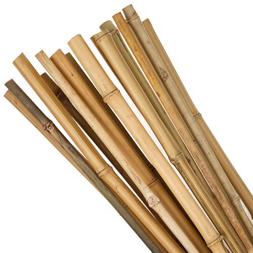 Bamboo Canes 4ft (#150)