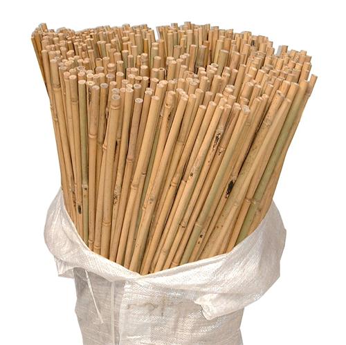 Bamboo Canes 4ft (#200)