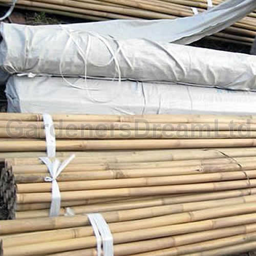Bamboo Canes 4ft (#50)