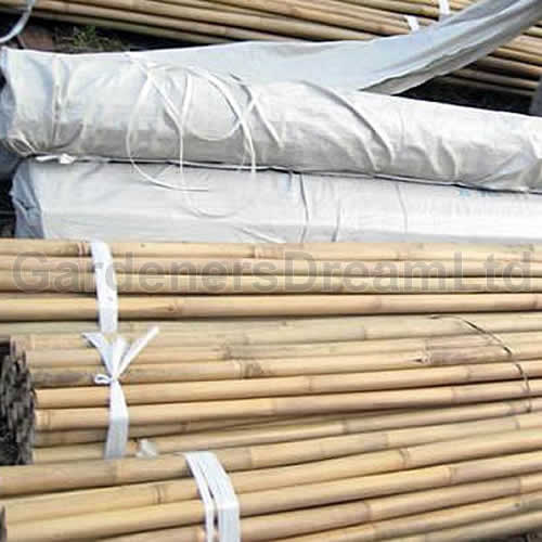 Bamboo Canes 6ft (#150)