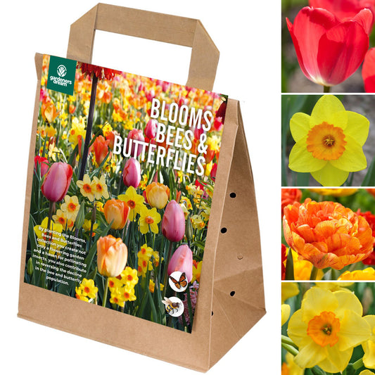 Blooms, Bees & Butterflies - Pastel Shades (Pack of 25)