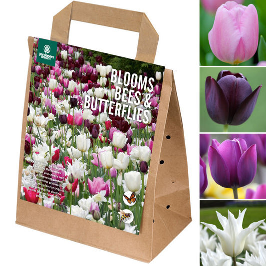 Blooms, Bees & Butterflies - Pink Shades (Pack of 25)