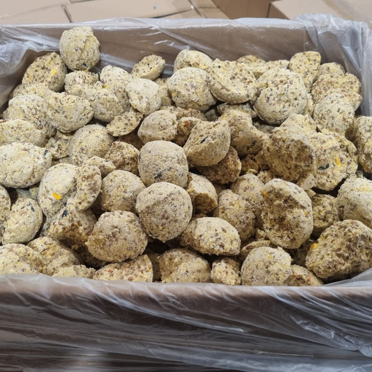 Broken Fatballs Box (10kg)