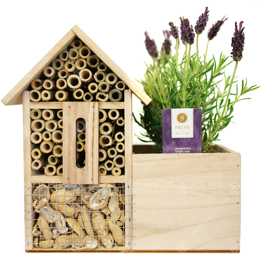 Bee & Insect Hotel & Lavender (9cm)