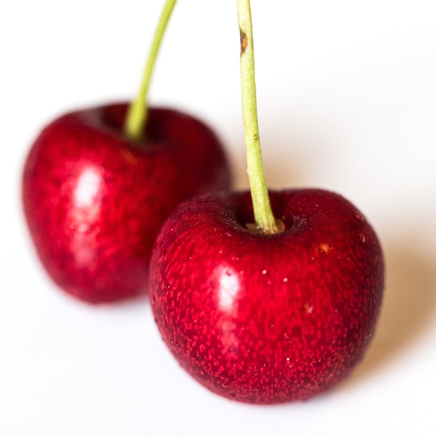 Cherry Kordia (MM106, 7.5L, 4-5ft)