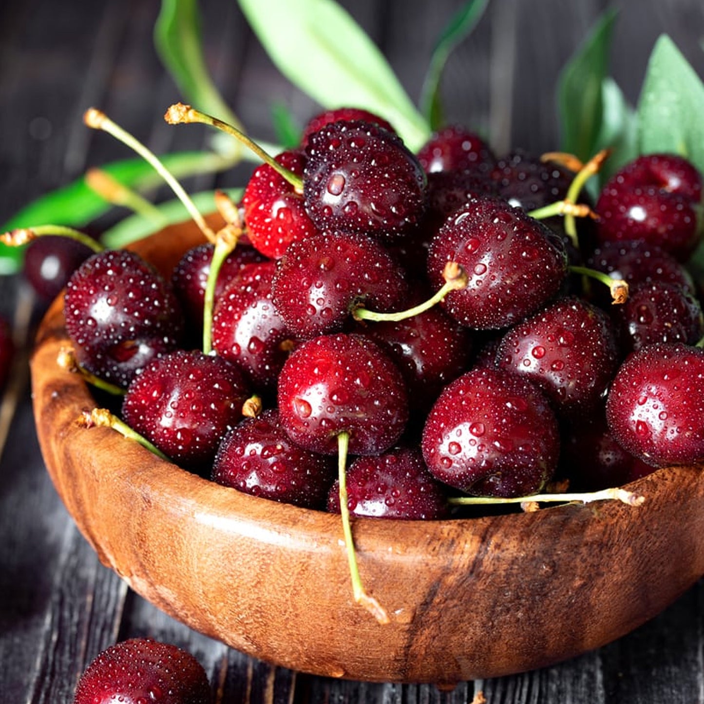 Cherry Kordia (MM106, 7.5L, 4-5ft)