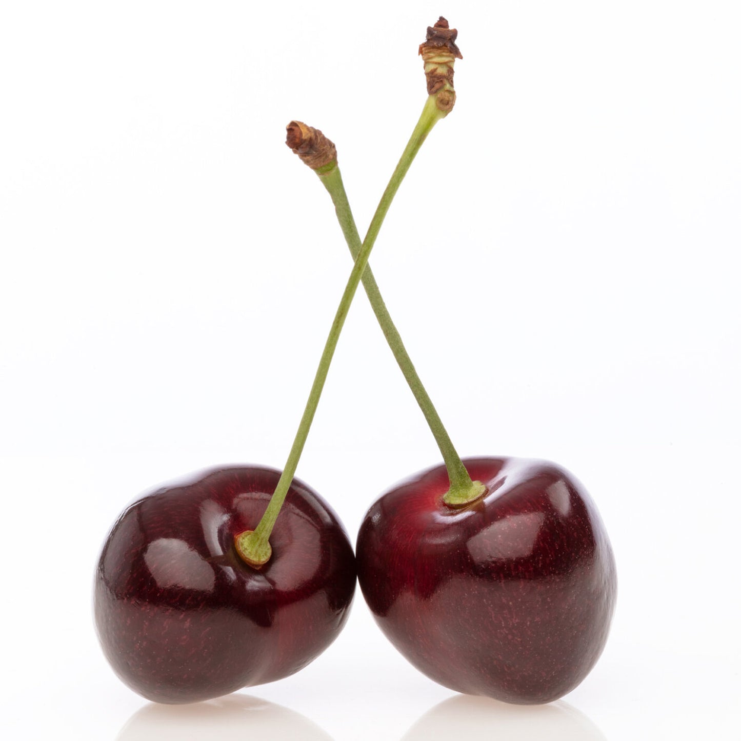 Cherry Regina (MM106, 7.5L, 4-5ft)