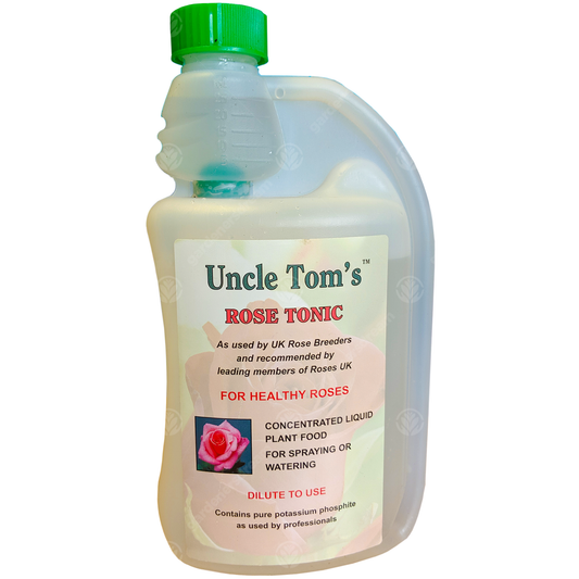 Uncle Toms Rose Tonic 500ml