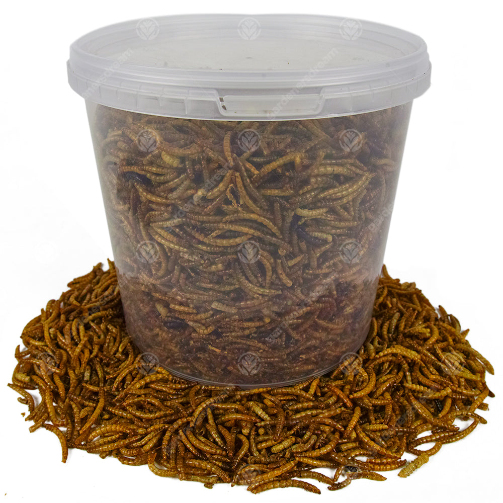 GardenersDream Dried Mealworms (25kg)