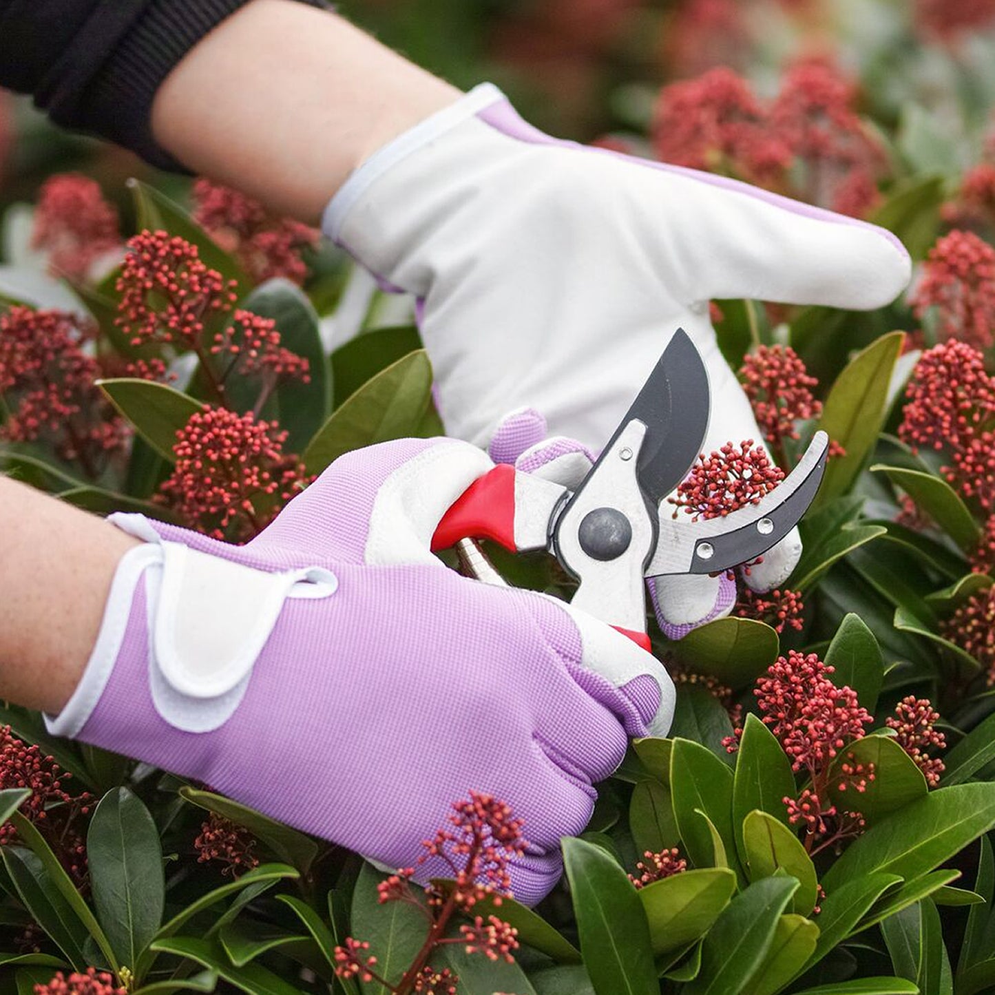 Comfy Gardener Gloves - Lush Lavender - Medium
