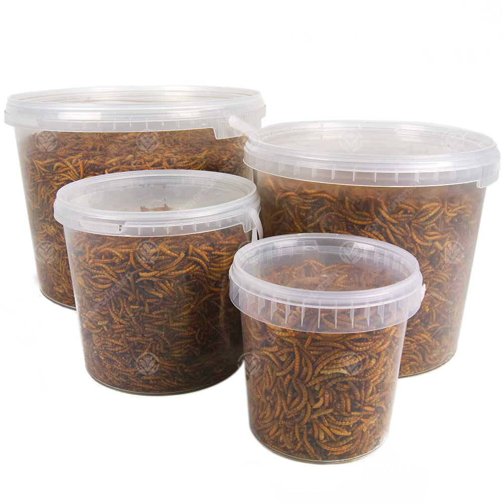 GardenersDream Dried Mealworms (25kg)
