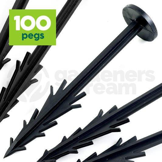 Square Pegs 6" (#100)