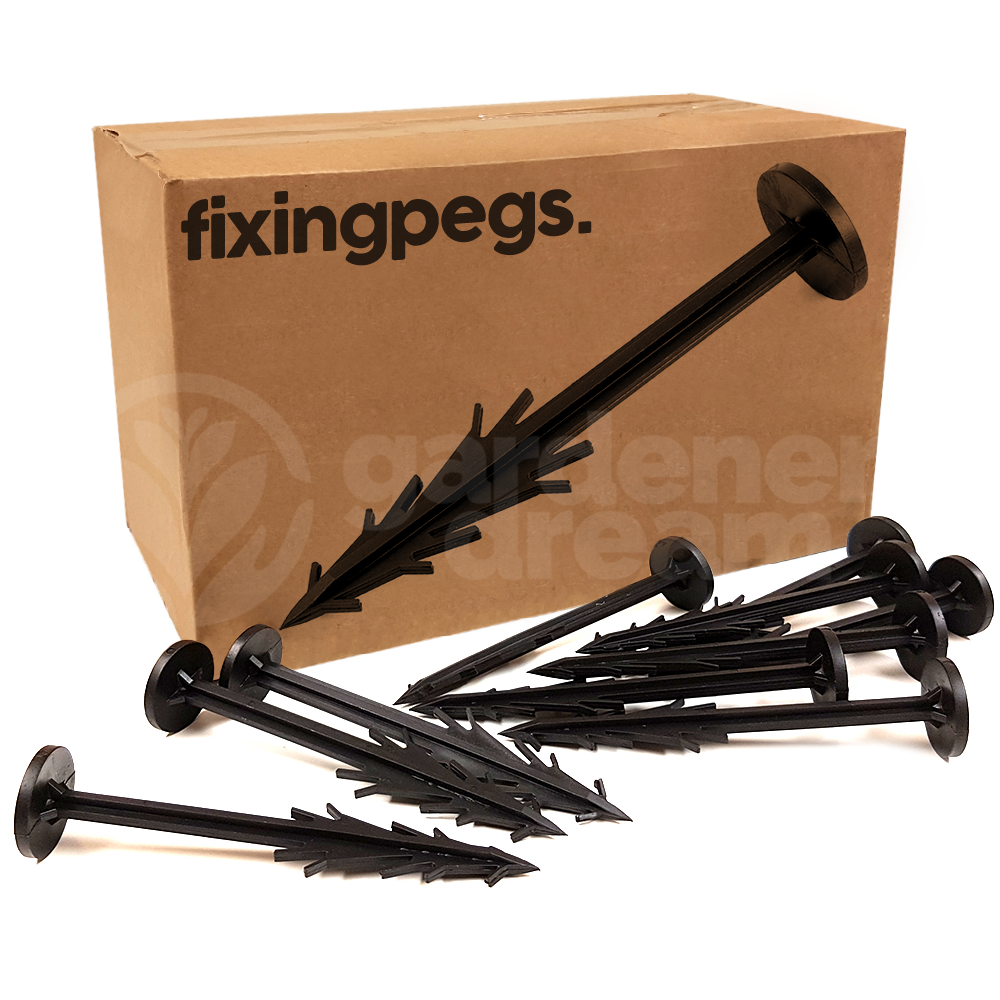Square Pegs 6" (#25)