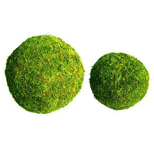Padded Ball 6" (#2)