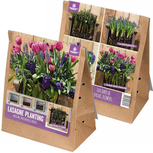 Lasagne Planting - Pink and Blue (Pack of 40)