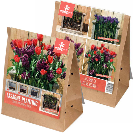Lasagne Planting - Red and Purple (Pack of 40)
