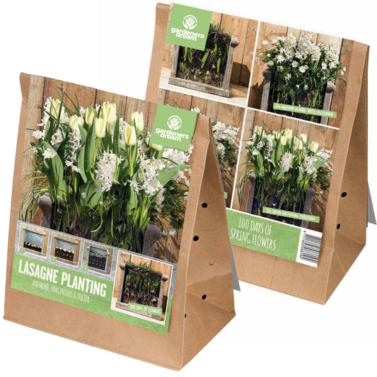 Lasagne Planting - White (Pack of 30)