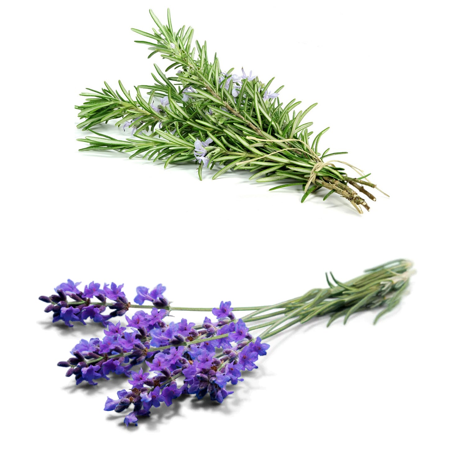 Lavender & Rosemary (2 x Carry Six Packs)