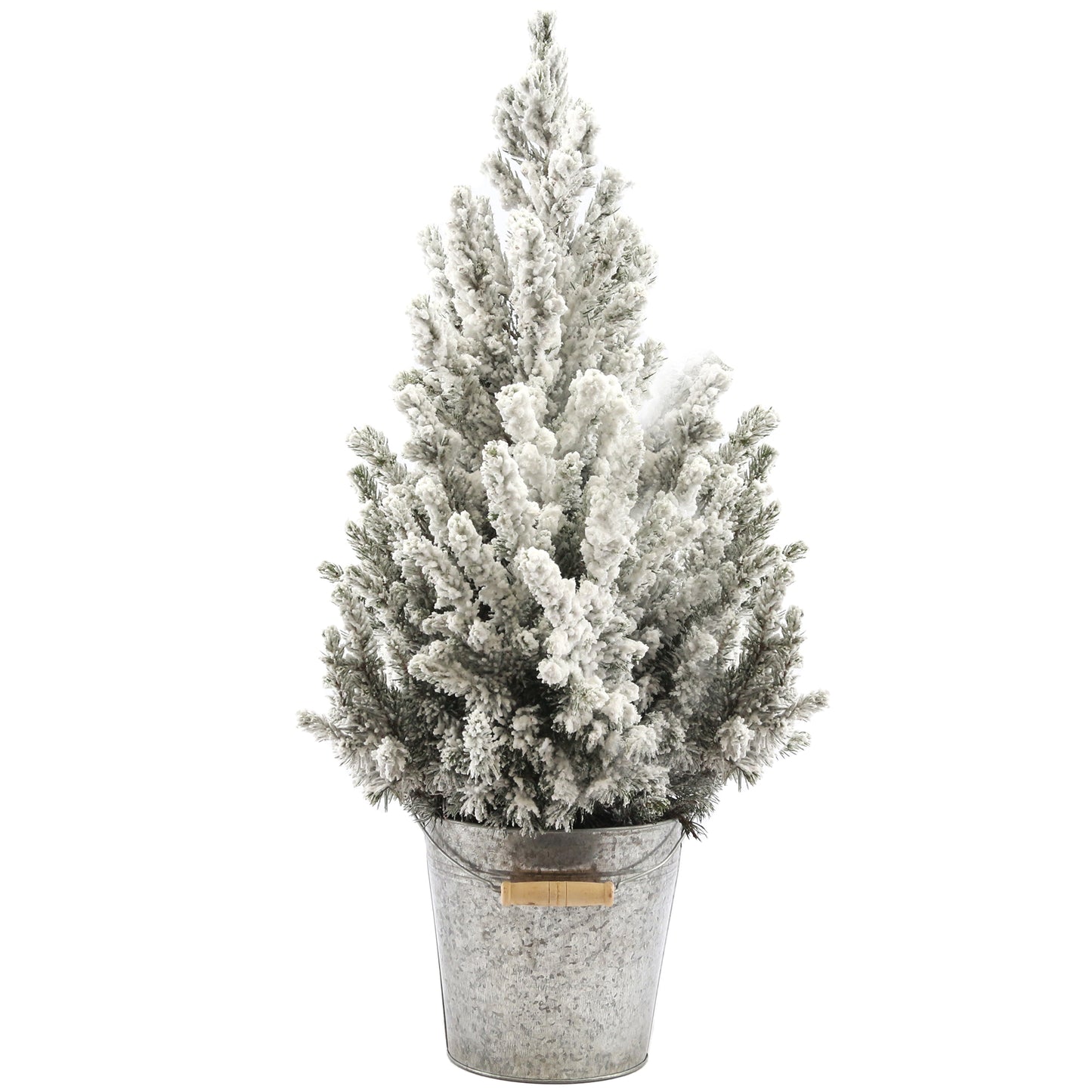 Picea Conica in Zinc Pail