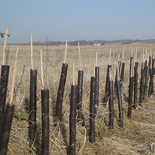 Spiral Tree Guards 2.5FT/50mm (Brown) (#5)