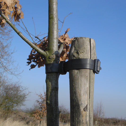 Rose & Shrub Ties 30cm x 1.25cm (#100)