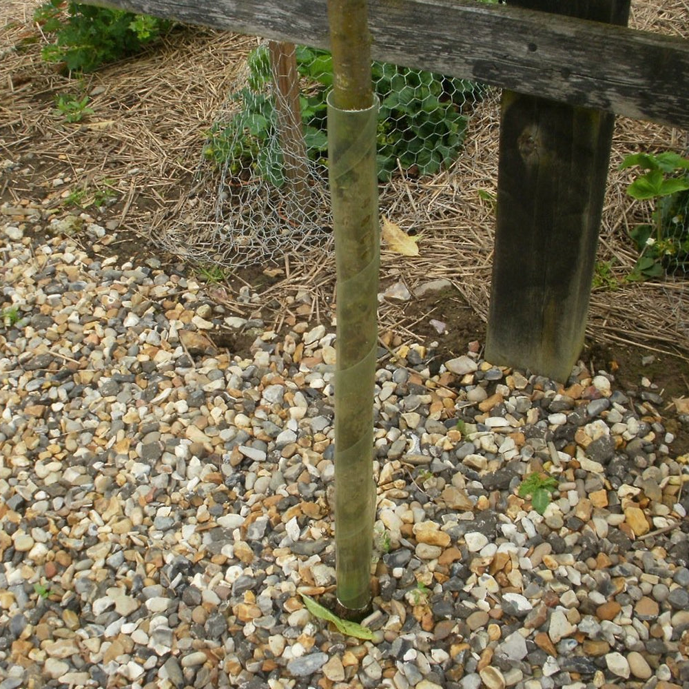 Spiral Tree Guards 2FT/38mm (Green) (#10)