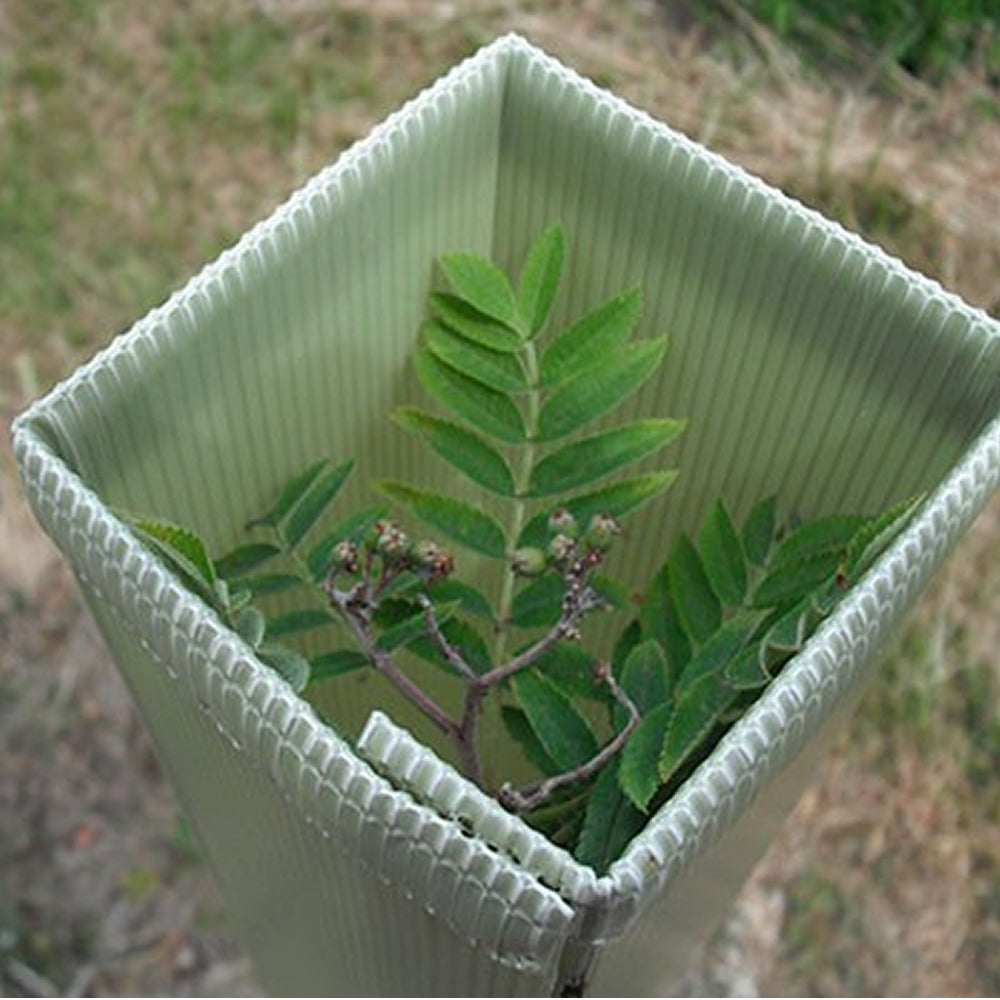 Defender Tree Shelter 2FT/85mm (Green) (#50)