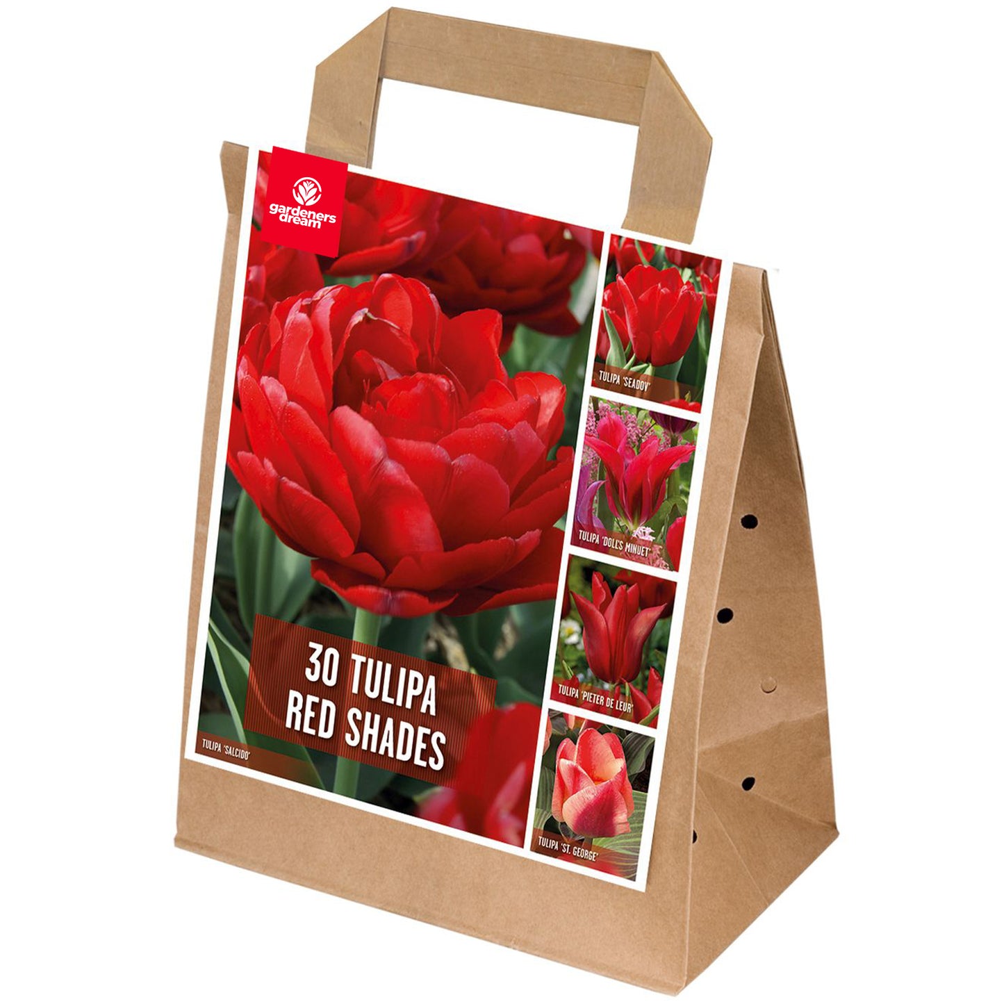 Shades of Colour - Tulip Red Shades (Pack of 30)