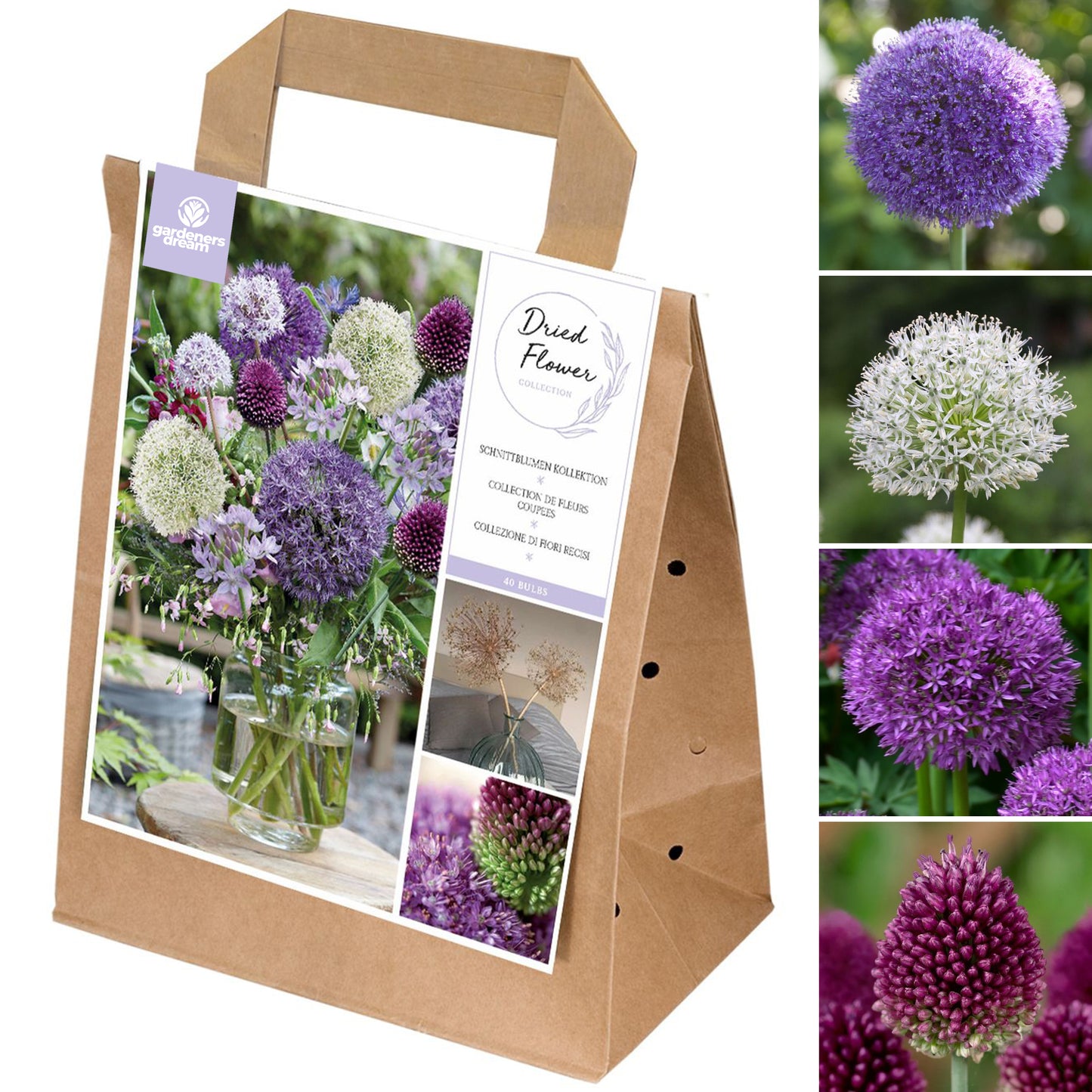 Spring Collection - Dry Flowers (Pack of 30)