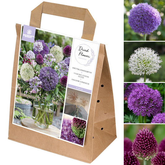 Spring Collection - Dry Flowers (Pack of 30)