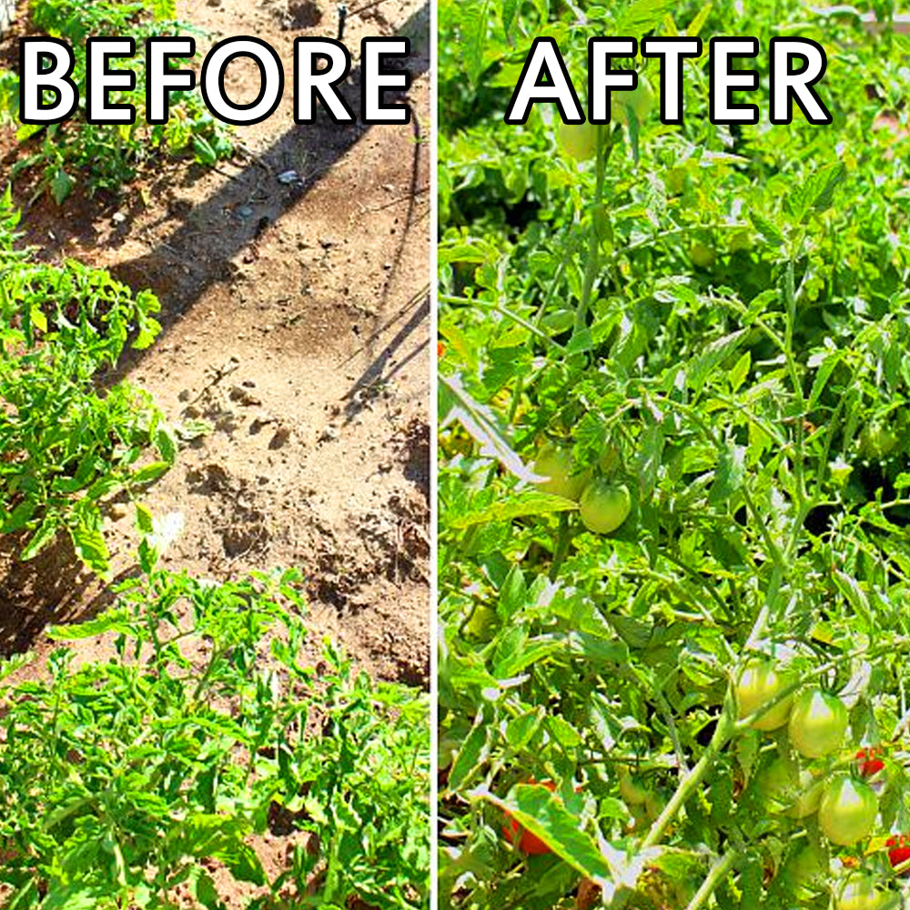 Flower & Vegetable Fert. 5.3-7.5-10+TE