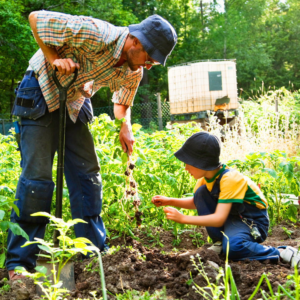 Flower & Vegetable Fert. 5.3-7.5-10+TE