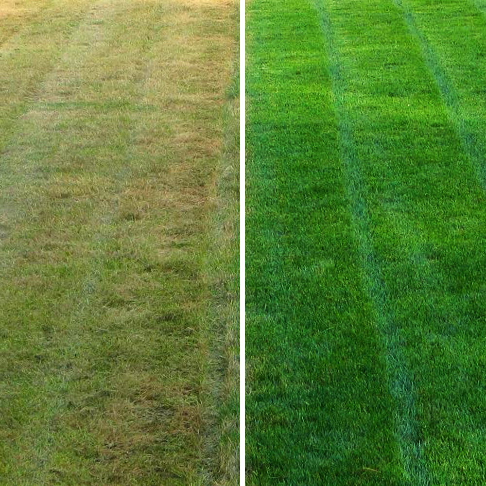 Spring/Summer Fertiliser 12-3-9+1Fe+0.5