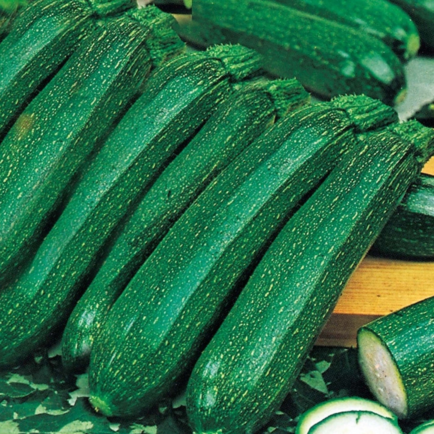 Courgette - Ambassador