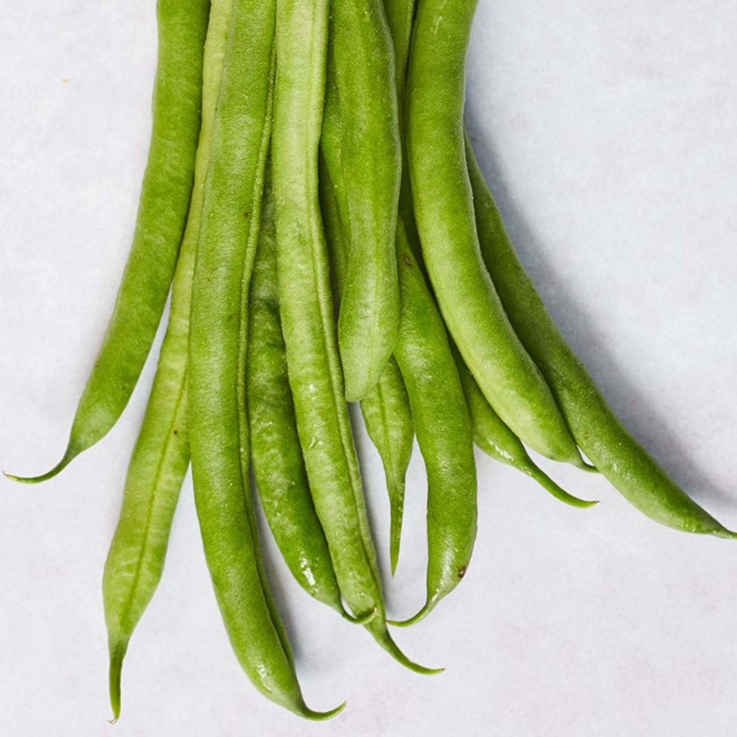 French Beans Tendergreen