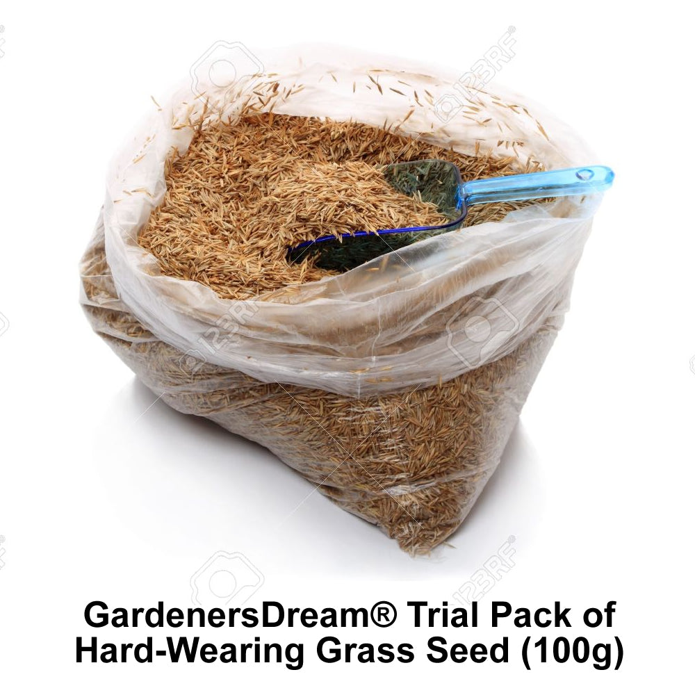 Sportsmaster Spring & Summer 25kg + 100g GD HW Grass Seed Sample