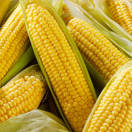 Sweetcorn Incredible