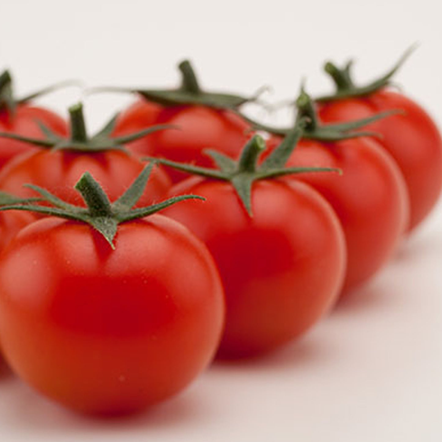 Tomatoes Tremolo